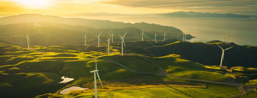 Denali Energy Resources